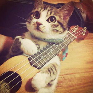 亚洲一区自拍高清亚洲精品
